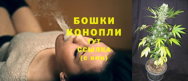PSILOCYBIN Абдулино
