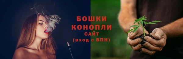 PSILOCYBIN Абдулино