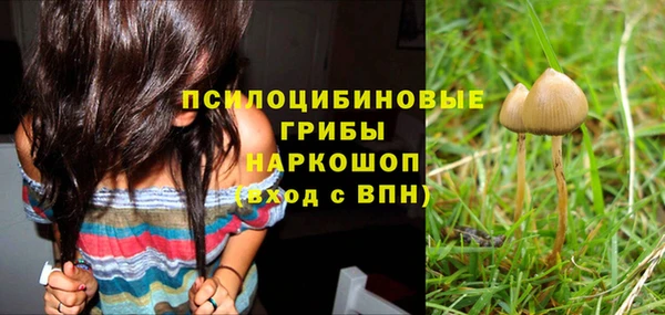 PSILOCYBIN Абдулино