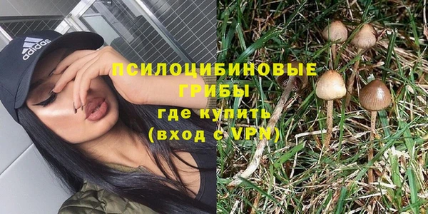 PSILOCYBIN Абдулино