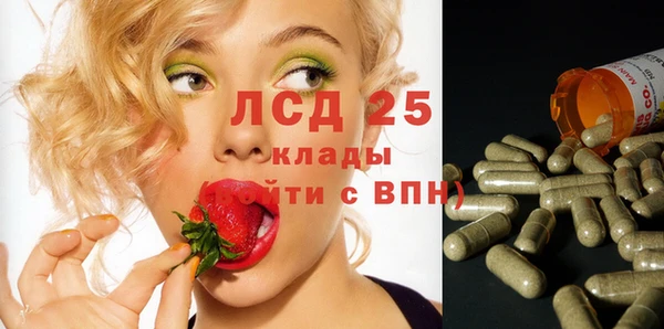 ГАЛЛЮЦИНОГЕННЫЕ ГРИБЫ Алзамай