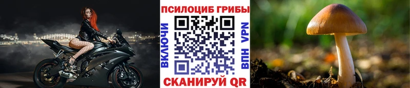 Галлюциногенные грибы Cubensis как найти закладки сайты даркнета состав Батайск