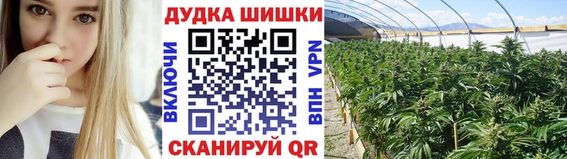 дарк нет какой сайт  гидра вход  Батайск  Бошки марихуана план 